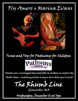 pw4c fundraiser poster